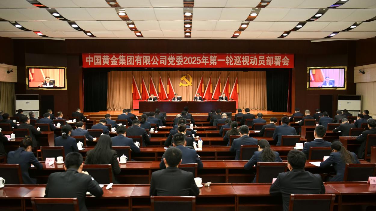 集團(tuán)公司黨委召開2025年第一輪巡視動員部署會